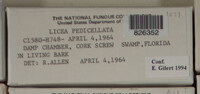 Image Associated With the Occurence